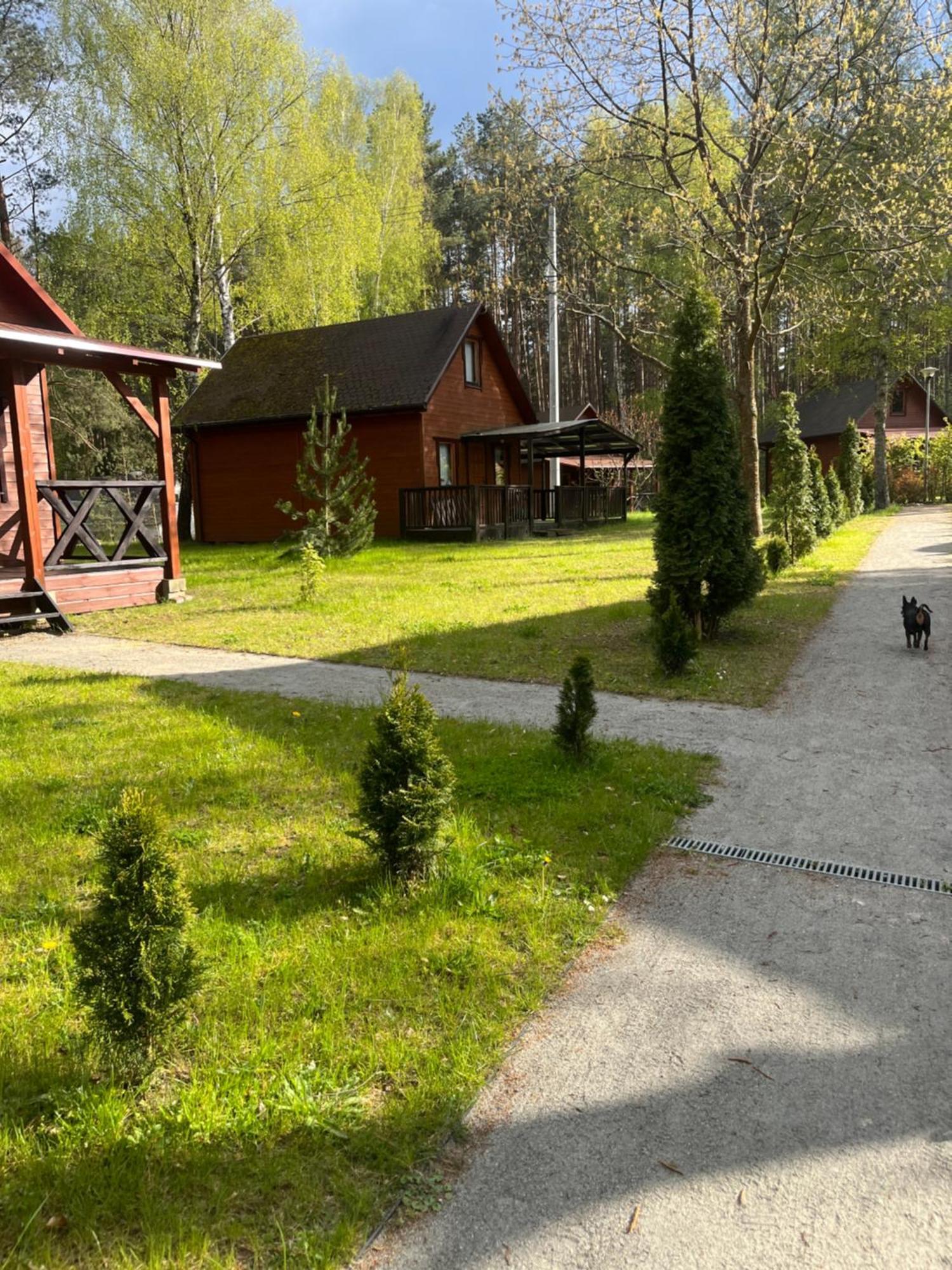 Domki Letniskowe Nad Jeziorem Kazub Cieciorka Luaran gambar